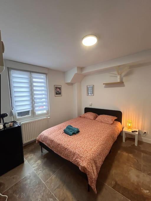 La Ptite Albi Home Nancy Eksteriør bilde